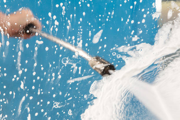 Best Gutter Cleaning  in Dwight, IL