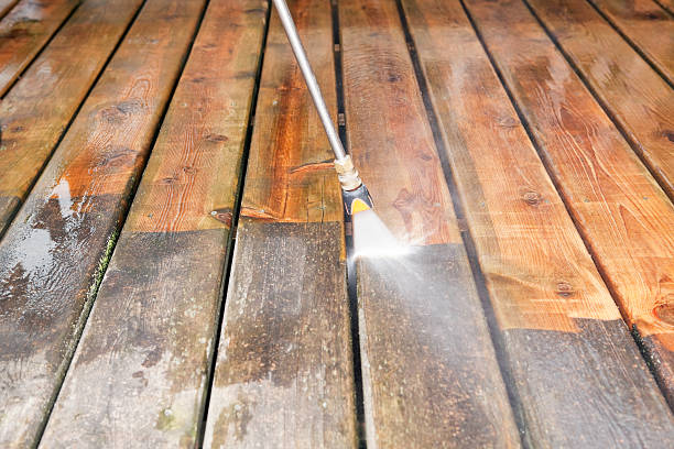 Animal Enclosure Cleaning in Dwight, IL